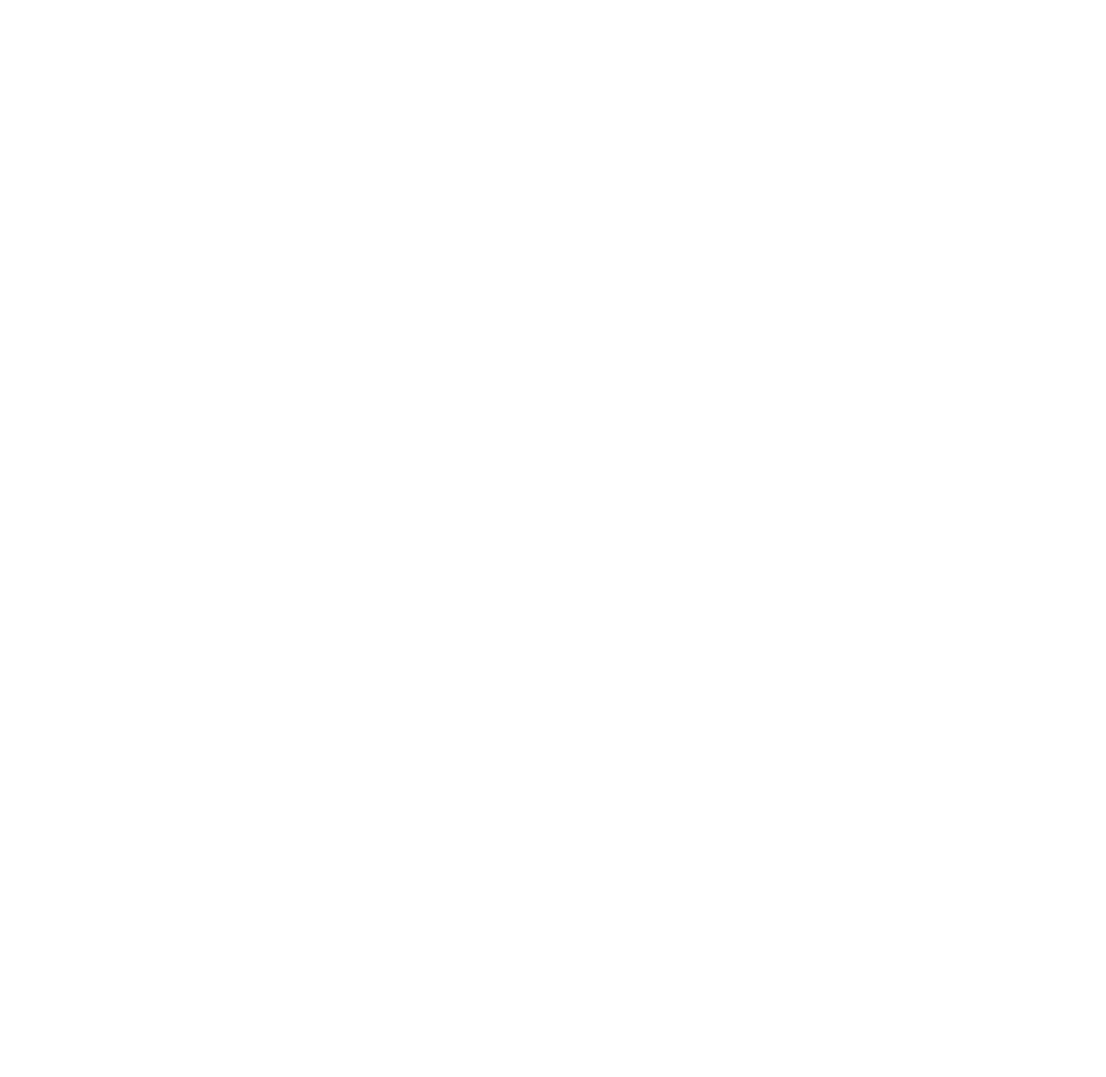 Logo Punto Dato